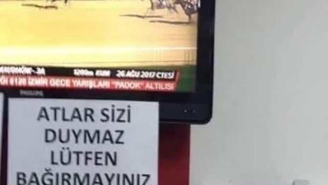 At yarışı izlemeyi seven var mı, hipodrom ve iddia olayı sizce nasıl?