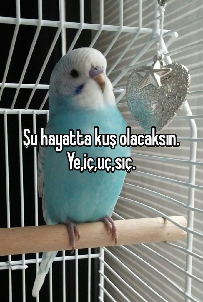İnsan olmak zor