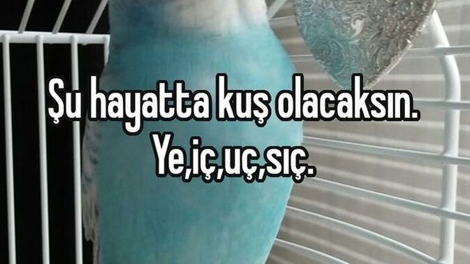 Psikolojik olarak ben iyiyim güçlüyüm diyebiliyor musunuz? İyi misiniz?