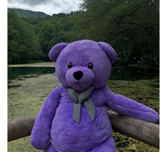 Sevgililer gününde size mor renkli ayıcık 🐻 alabilir miyim?