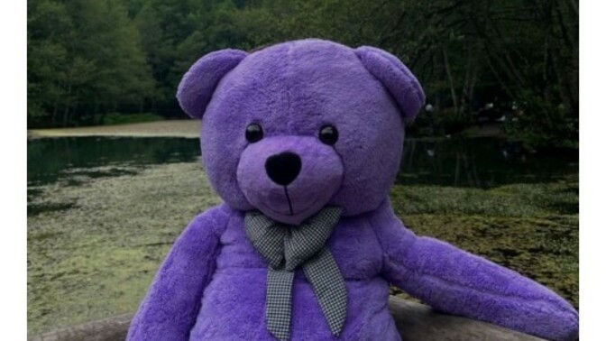 Sevgililer gününde size mor renkli ayıcık 🐻 alabilir miyim?