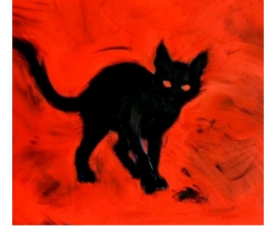 Kırmızı kedi neden yok, vampir kedi var mıdır?