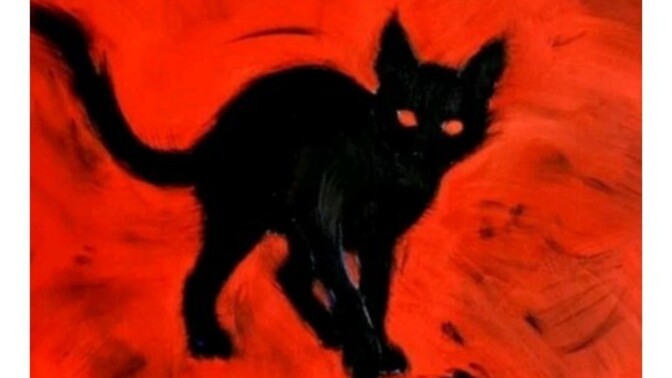 Kırmızı kedi neden yok, vampir kedi var mıdır?