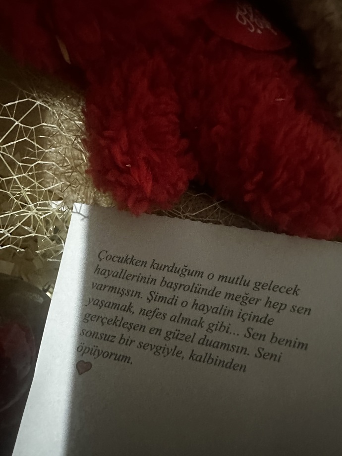 Sevgililer günü hediyem nasiiil?