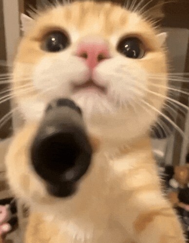 Bana bi şarkı atar mısın?