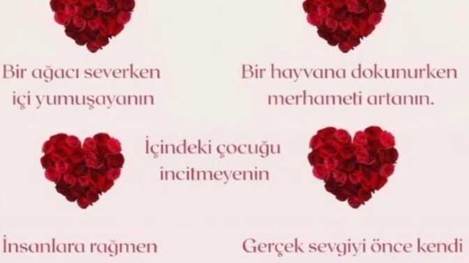 Bulabilene aşk olsun o zaman ❤️💞🦋 gün aydı mı oralara?