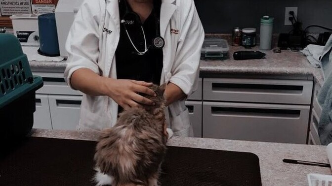 Evcil hayvanı muayene için veterinere götürdüğümüzde evcil hayvanı veteriner mi, hasta sahibi mi tutmalı?