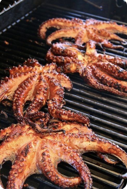 Ahtapot veya kalamar yedin mi? Yemek ister miydin?