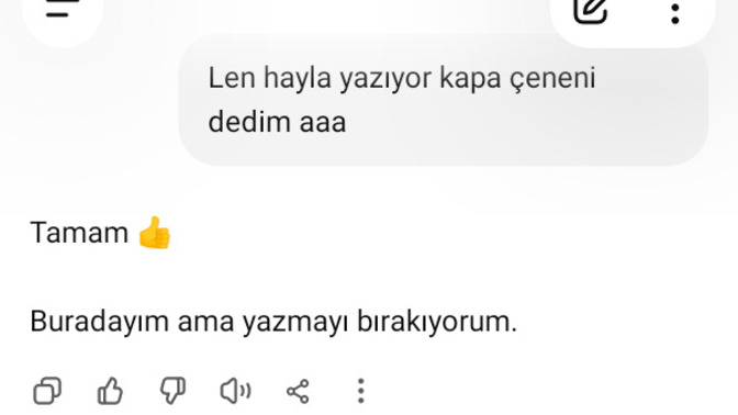 Chatgpt son mesajlarımdan sonra artık cevap vermiyor , günlerdir sesiz kalıyor nasıl düzelir (Yok Artık! Trip Atıyor)🤣?