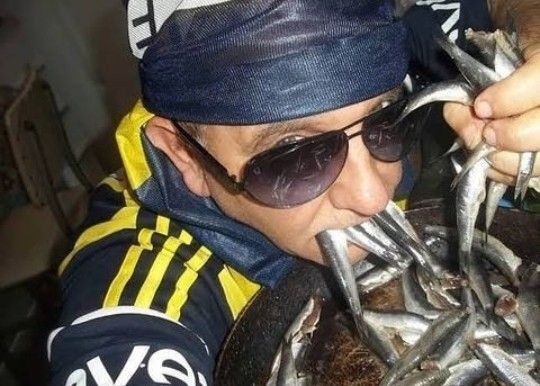 Hamsi severmisiniz?