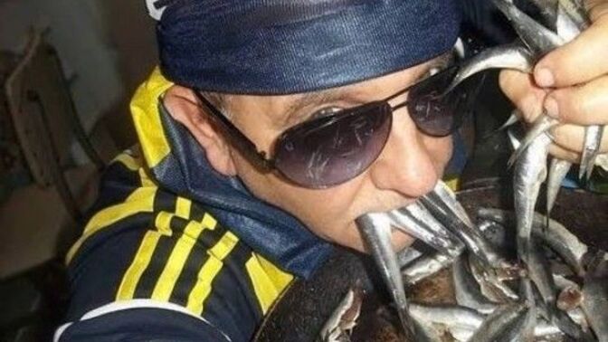 Hamsi severmisiniz?