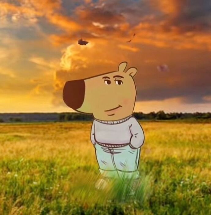 ...