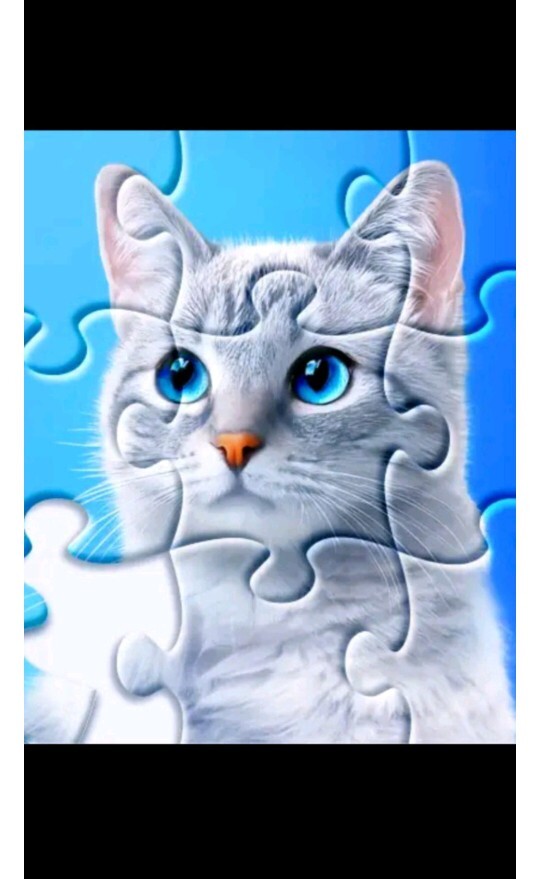 Kedi koleksiyonu mu görmek ister misin?