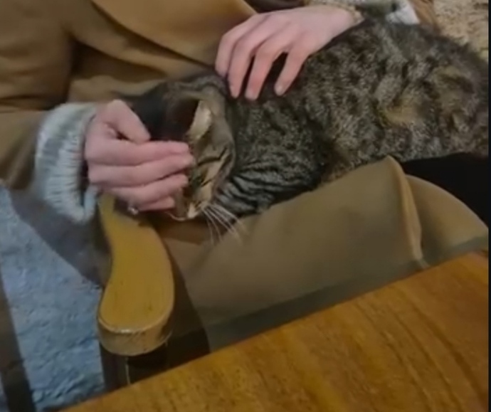 😻