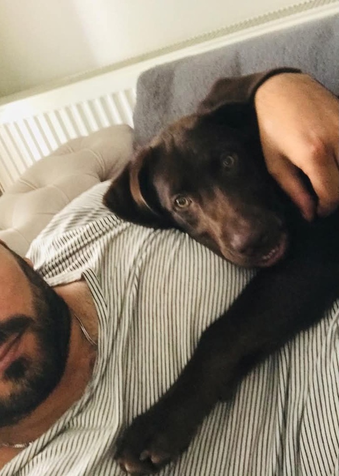 Yürürken bir anda karşına köpek çıkarsa ne yapıyorsun?
