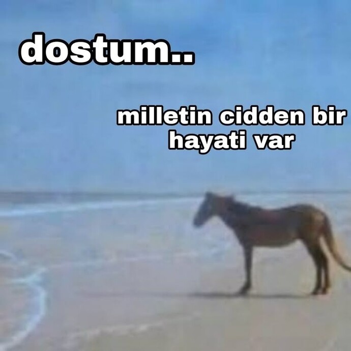 Yaranız var mı?