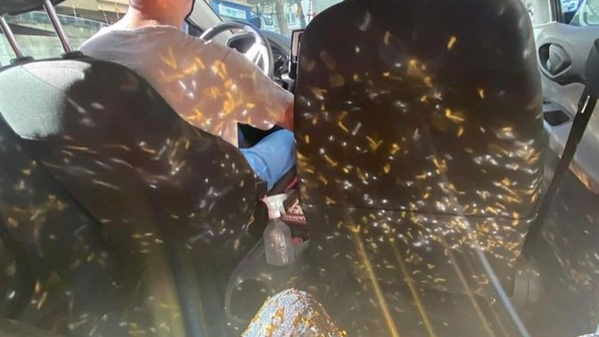 Bu ışıltılı hayatı gerçekten siz mi seçtiniz yoksa hayat mı sizi seçti?