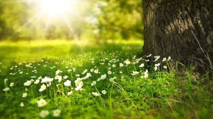 Aşırı mutluluk veren ama sıradan bir olayı söyler misin?