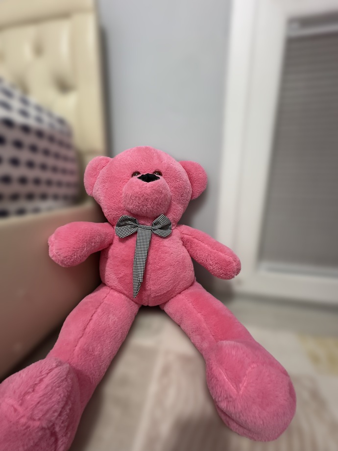 Ayıcığıma isim bulalım mı , peluş oyuncak sever misiniz?