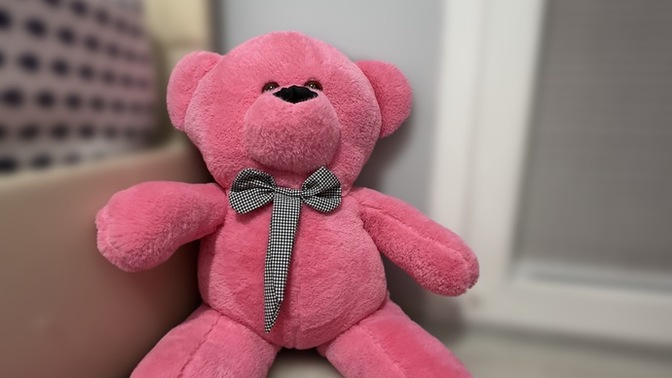Ayıcığıma isim bulalım mı , peluş oyuncak sever misiniz?
