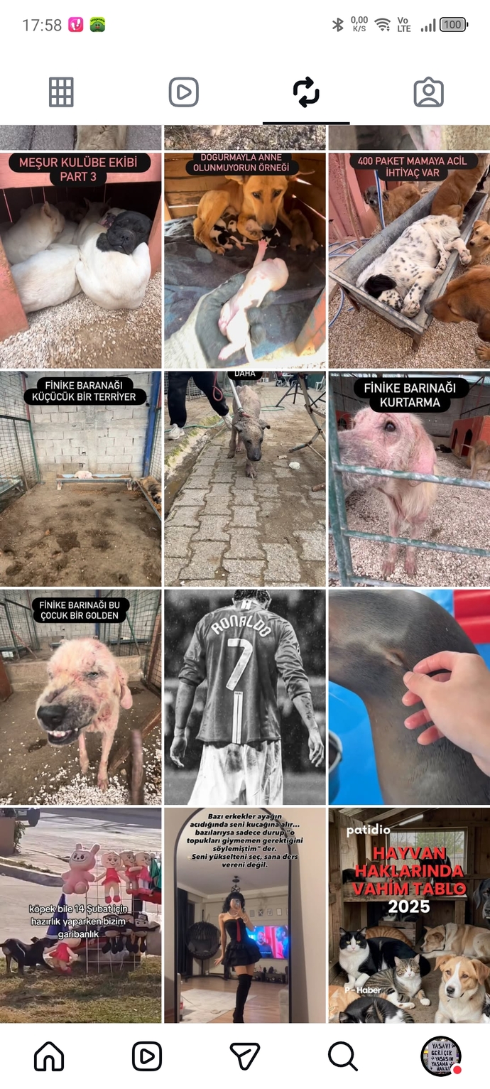 Bu ülkede hayvanlar bile yaşayamıyor insan mı yaşar?