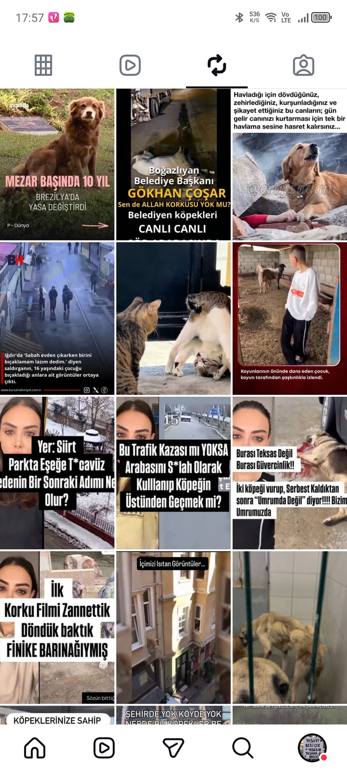 Bu ülkede hayvanlar bile yaşayamıyor insan mı yaşar?