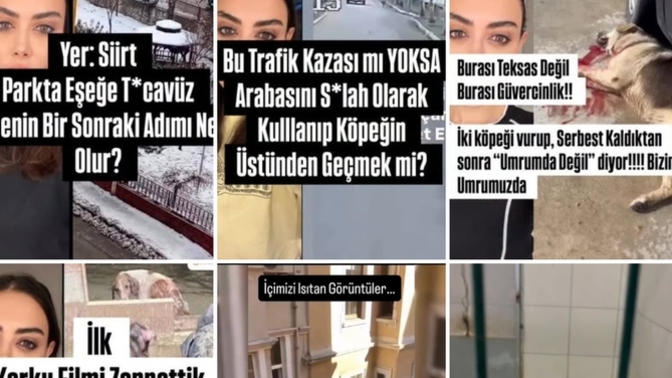 Bu ülkede hayvanlar bile yaşayamıyor insan mı yaşar?