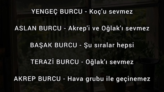 Hangi burç insanları sevmiyorsun? Asla Hayatına Almazsın?