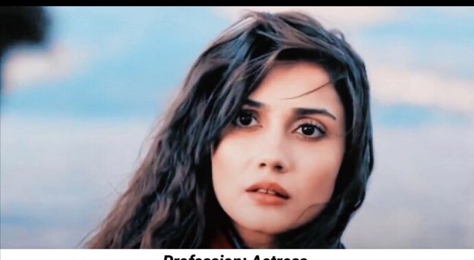 Hande ercel ve sevda erginci arasında benzerlik var mı?