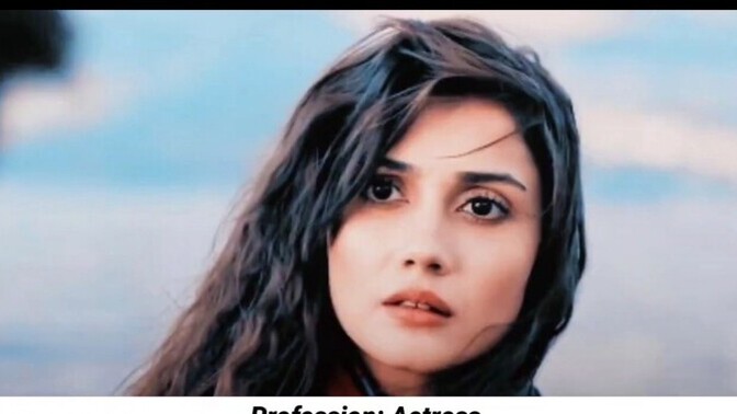 Hande ercel ve sevda erginci arasında benzerlik var mı?