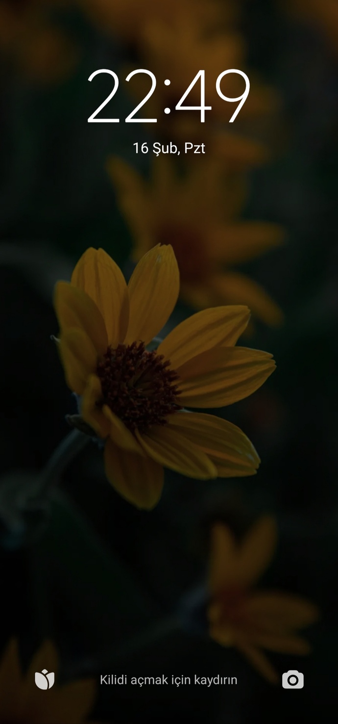 Böyle tatlı bir papatya var🌼