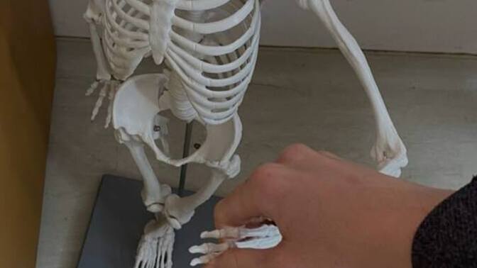 Sonun da size enişte buldum nasıl ama yakışıklı mı 😂?