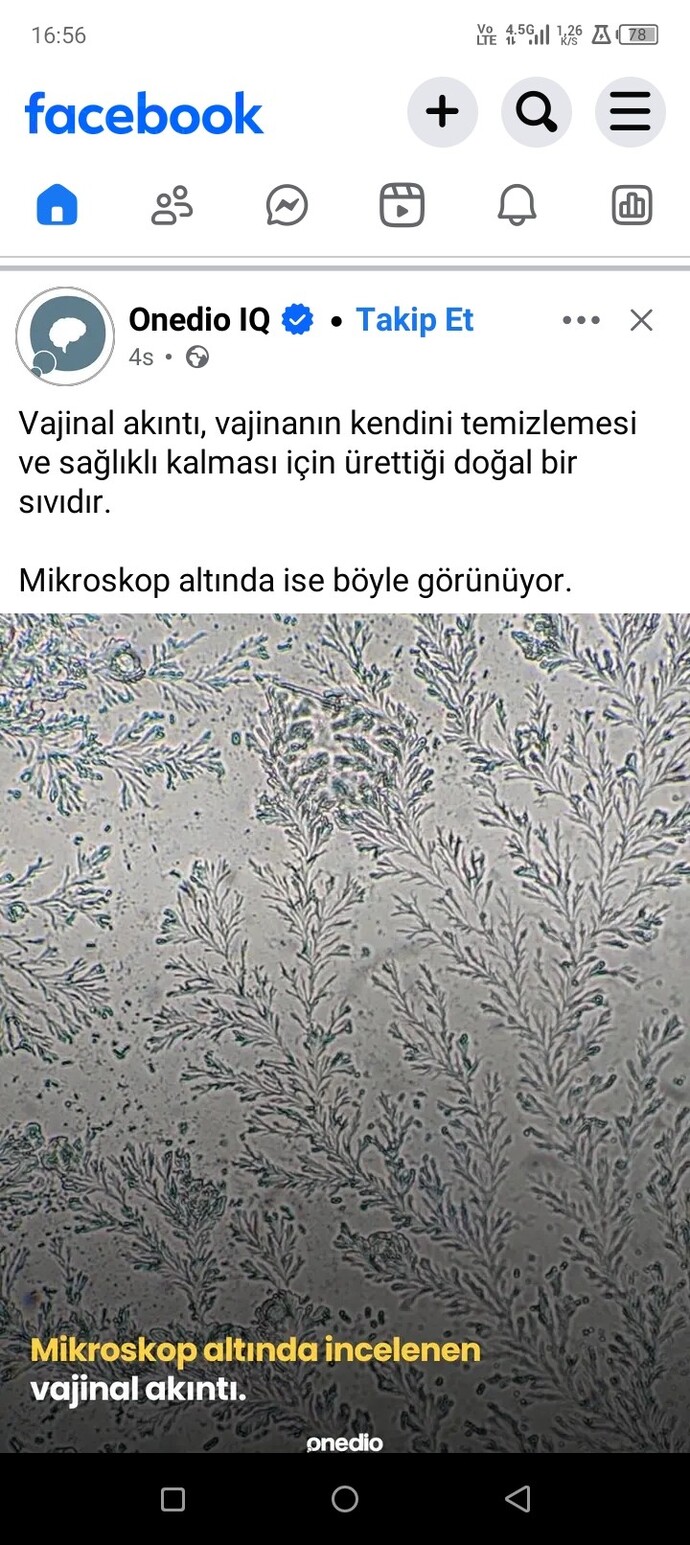 Mikroskopla herşeyi incelemeye gerek var mı?