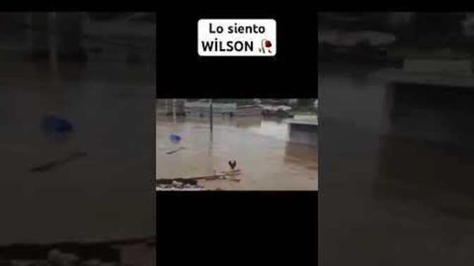 Horoz Wilsonu Gördünüz mü, sizce Wilson hak ettiğini mi buldu 🤧?