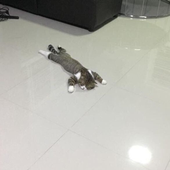 Mide bulantısı hissinden nasıl kurtulunur?