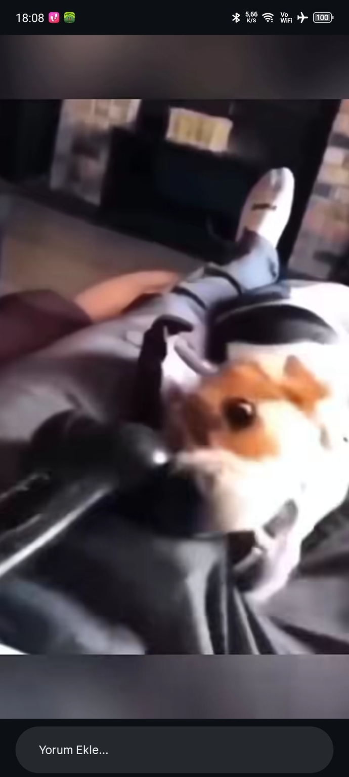 Komik videolar izlemek stresinizi azaltıyor mu?