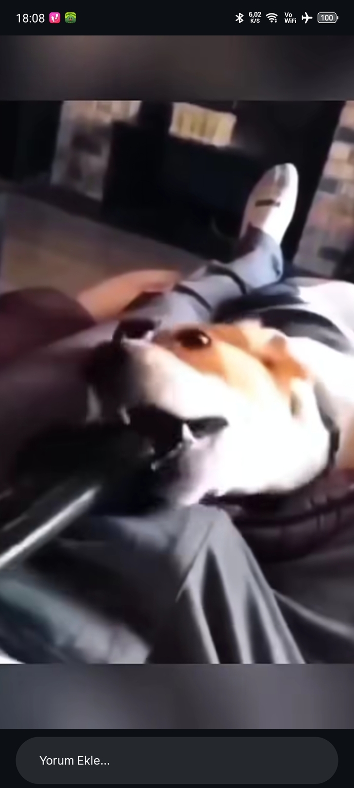 Komik videolar izlemek stresinizi azaltıyor mu?
