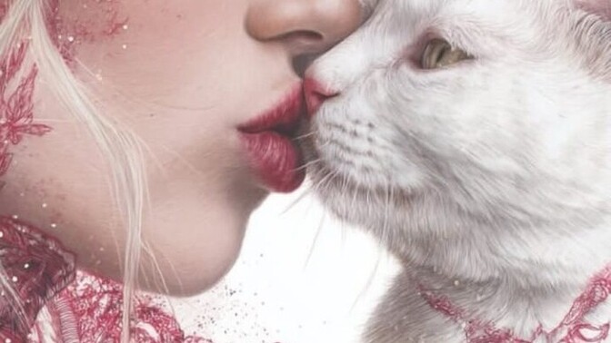 Kedimi 🐱 dudaktan öpmek normal midir?