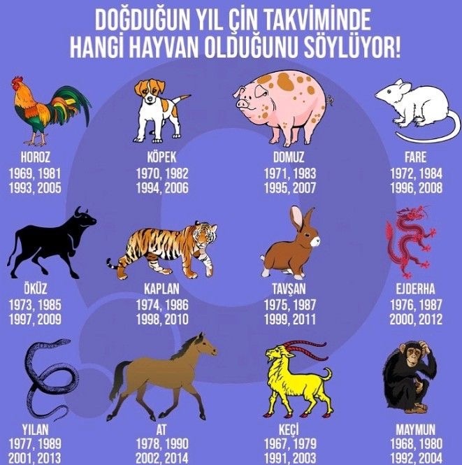 Çin Takvimine Burçlarmış Göre Siz Hangi Çıktınız?