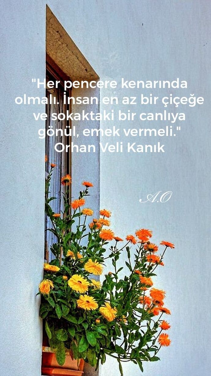 Birinden ilgi beklediğinizde bunu belli eder misiniz yoksa gizli mi tutarsınız?