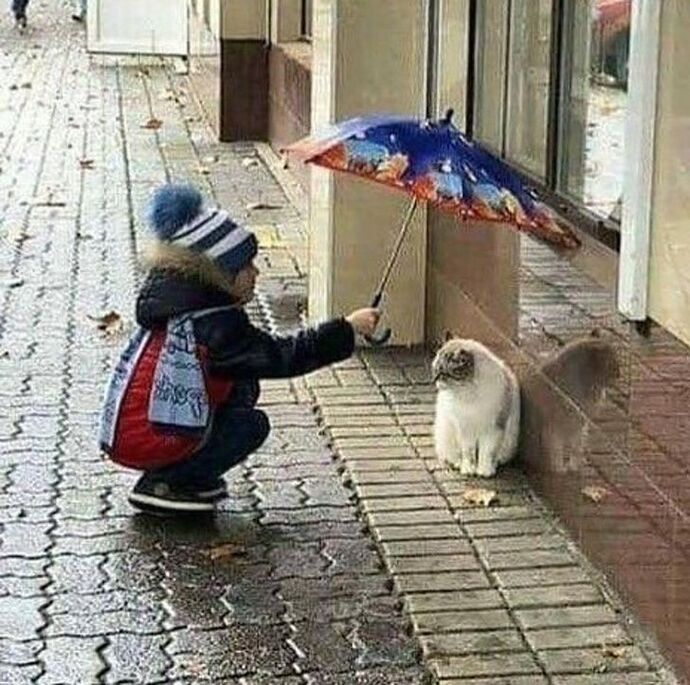 Hayatta hangisi daha değerli sizce: sessiz iyilik mi gösterişli başarı mı?