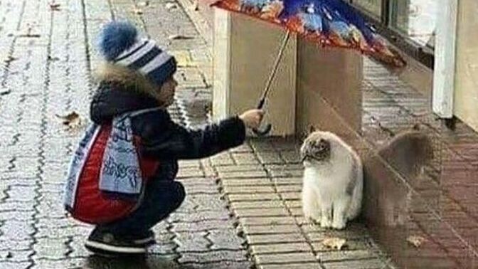 Hayatta hangisi daha değerli sizce: sessiz iyilik mi gösterişli başarı mı?