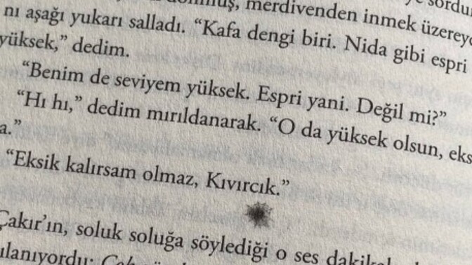 Aklınızı kaybettirecek güzellikte şeyler yaşadığınız oldu mu?