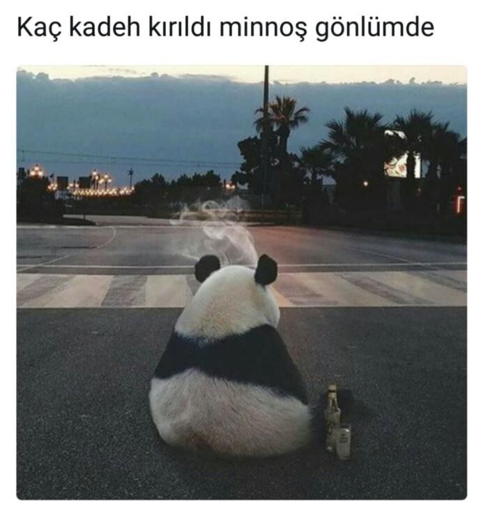 Kaç kadeh kırıldı minnoş gönlünüzde?