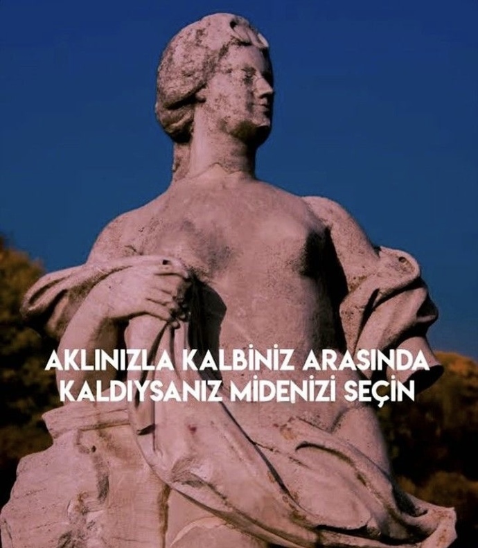 Siz daha çok mantık insanı mısınız, yoksa duygu insanı mı?