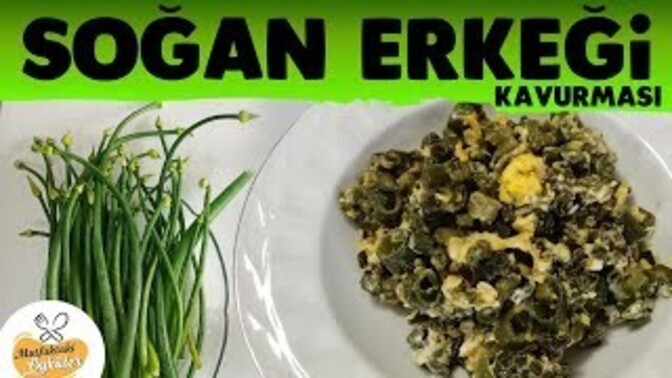 Soğan cücüğü bilir misiniz?