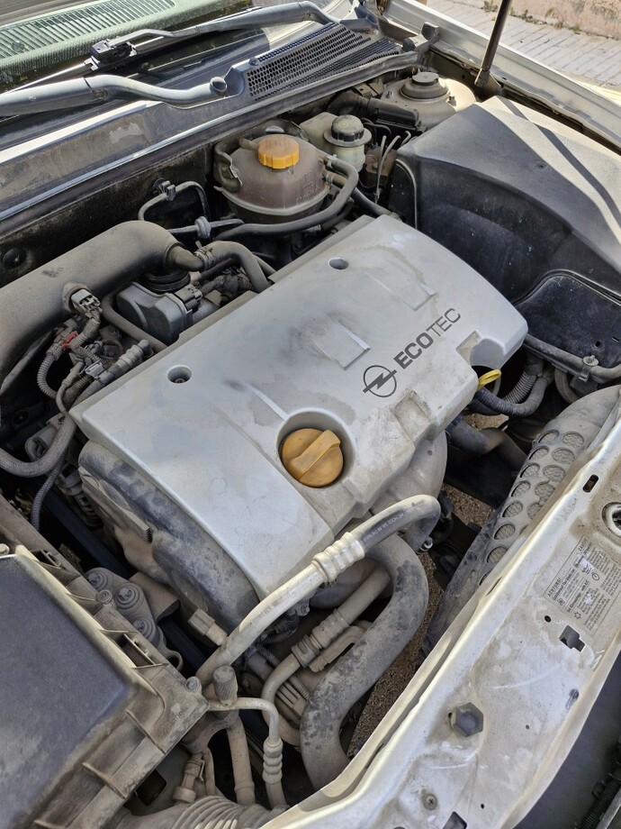 Arabanız kaç motor performansın dan memnun musunuz?