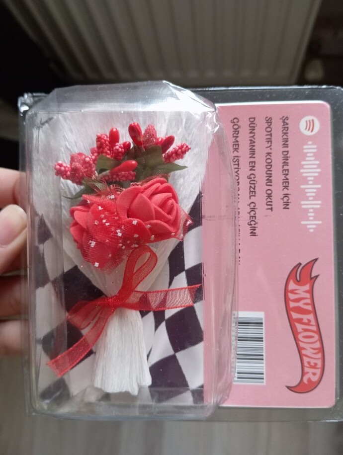 Sevgilim sevgililer gününe gerçek çiçek almadı?