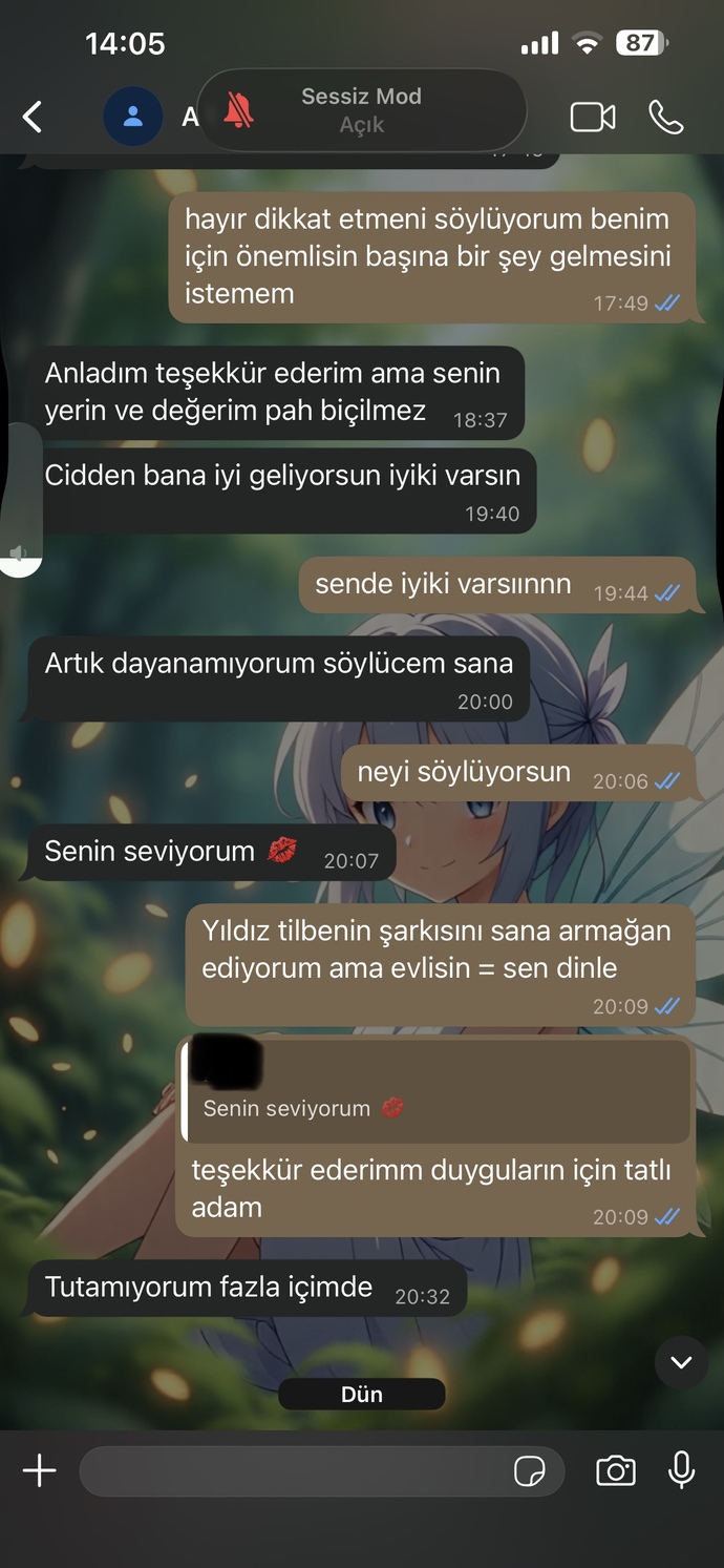 Ne anladınız amaç ne?
