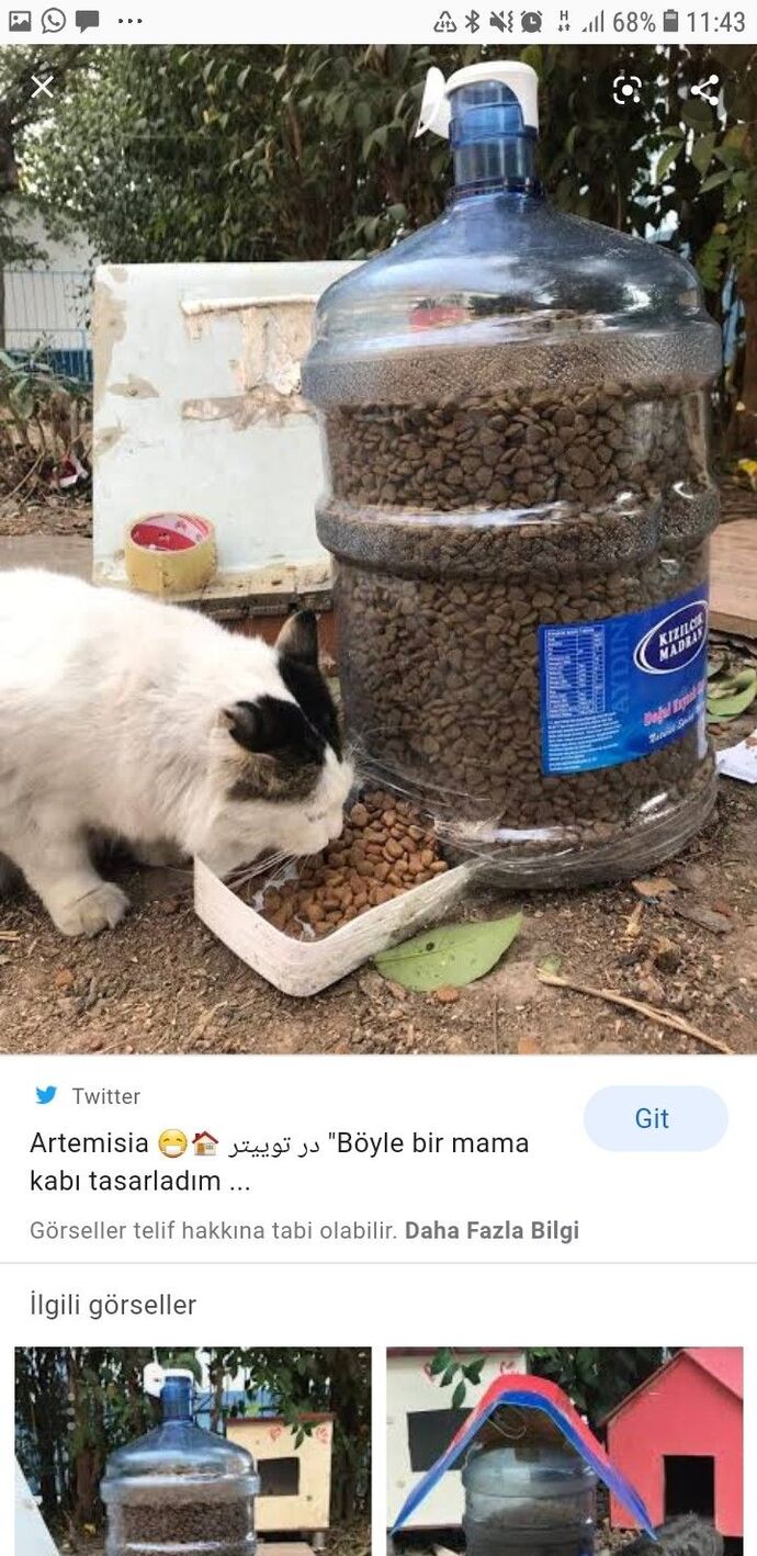 Sokak hayvanlarına mama ve su verme sevabına Ramazanda da devam edecek misiniz?